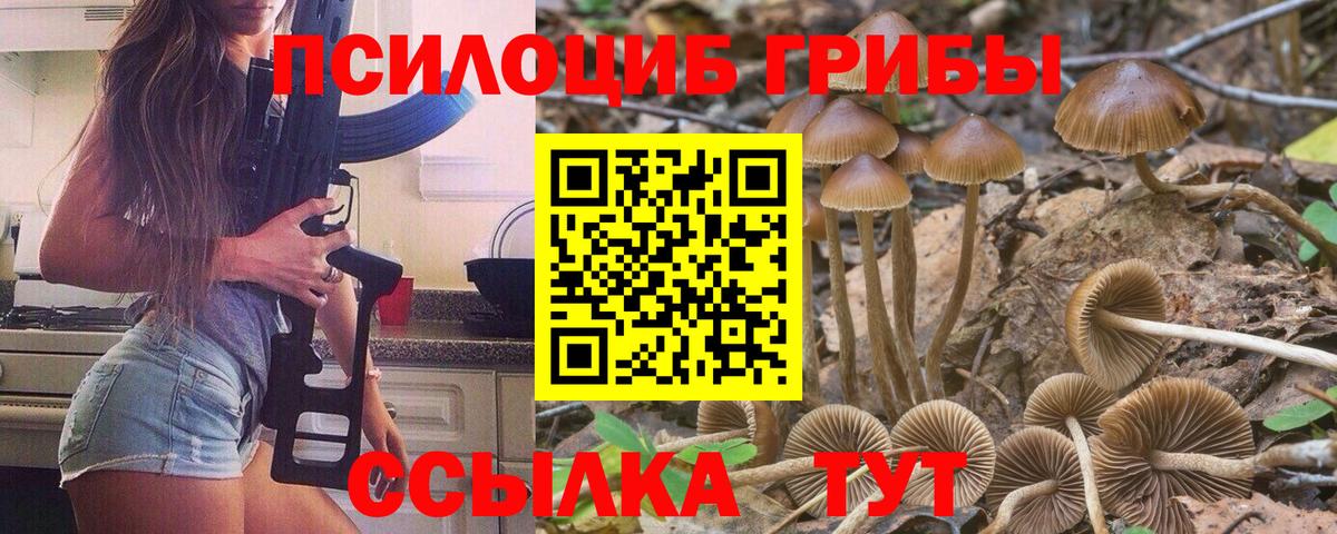 Псилоцибиновые грибы Cubensis Бугуруслан