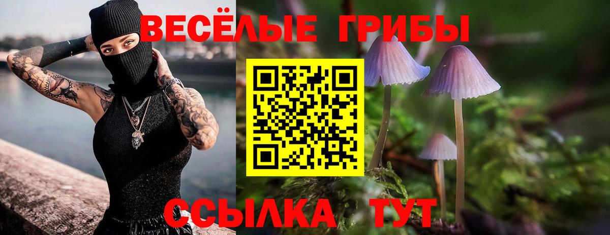 Галлюциногенные грибы мицелий  Вход с VPN  Бугуруслан 